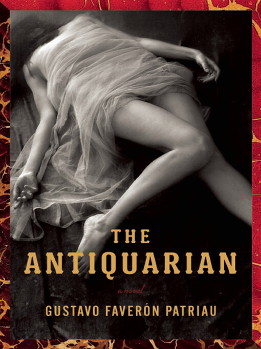 Cover image for The Antiquarian